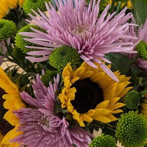 Meet your Posher, Maria